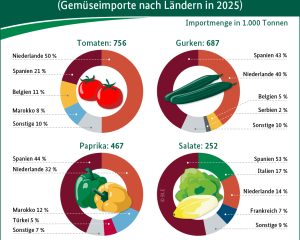 BZL-Grafik: Importmengen und Lieferländer für Tomaten, Gurken, Paprika und Salate im Jahr 2025