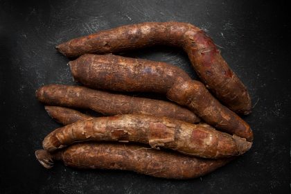 Yacon-Wurzeln