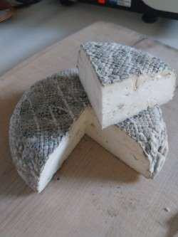 Angeschnittener Weichkäse Zickenblues der Biokäserei Reimehof
