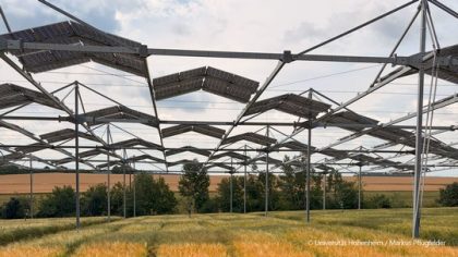 Solarmodule einer Agri-Photovoltaikanlage über einem Getreidefeld