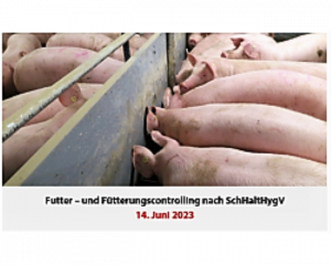 Im AVA-Fütterungscontrolling-Seminar am 14. Juni diskutieren Tierärzte, Landwirte und Berater gemeinsam auf Augenhöhe zur Optimierung der Schweinegesundheit, insbesondere aufgrund der meist politisch bedingten geänderten Fütterungsbedingungen.