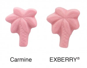Carmine vs EXBERRY_Confectionery_DEU