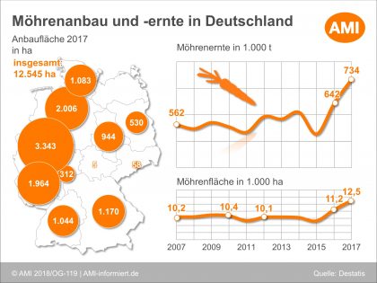 Möhrenanbau und -ernte in Deutschland 2017