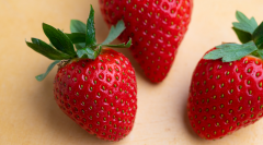 Aromawunder Erdbeere: Auf diese Früchtchen haben wir gewartet