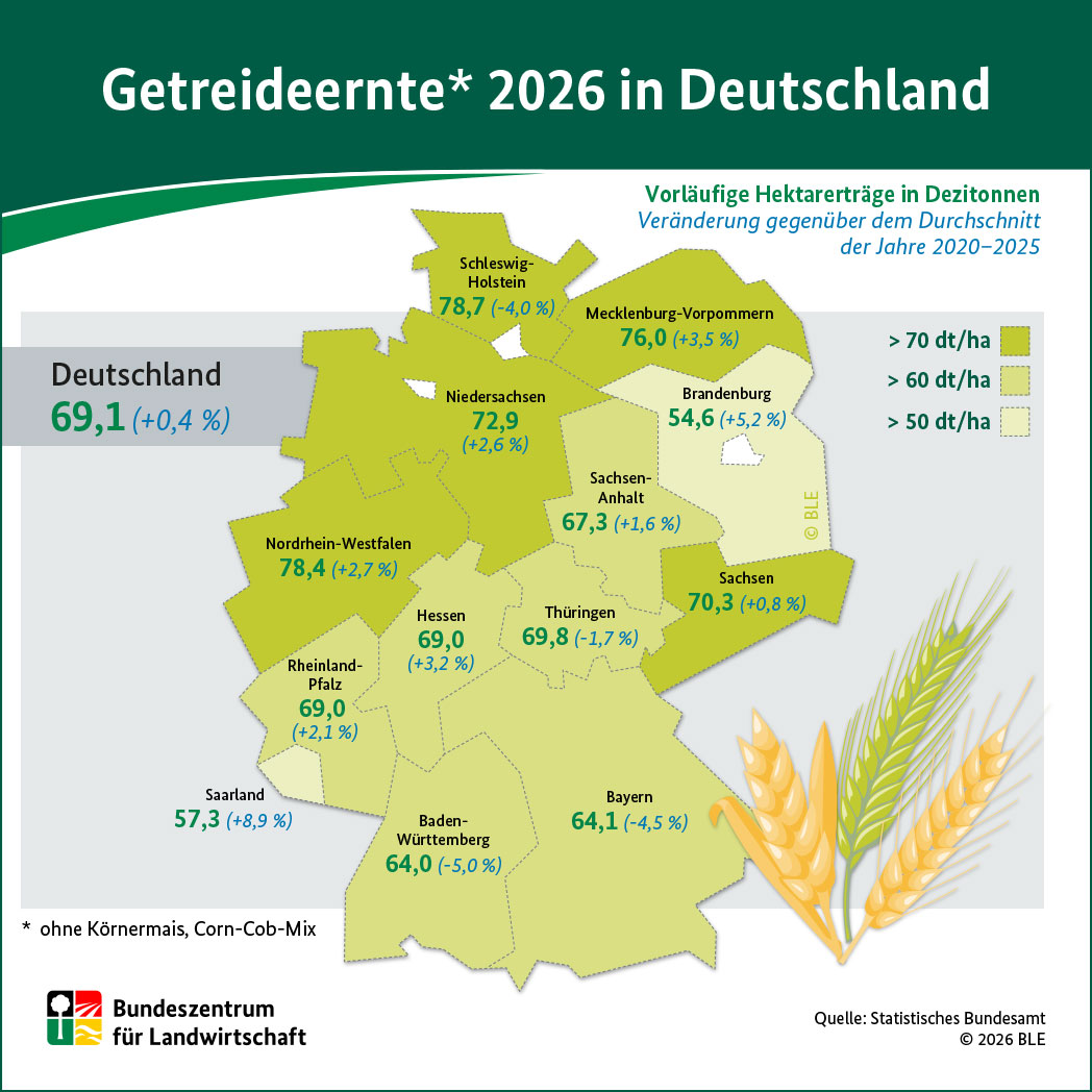 Infografik zur Getreideernte 2026 in Deutschland