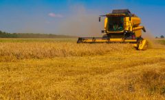 Vor G7-Gipfel: foodwatch fordert strenge Regulierung der Agrarspekulation