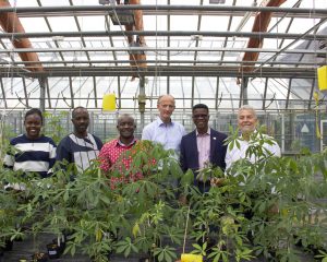 Cassava Forscher Dr. Stephan Winter von der DSMZ (ganz rechts)