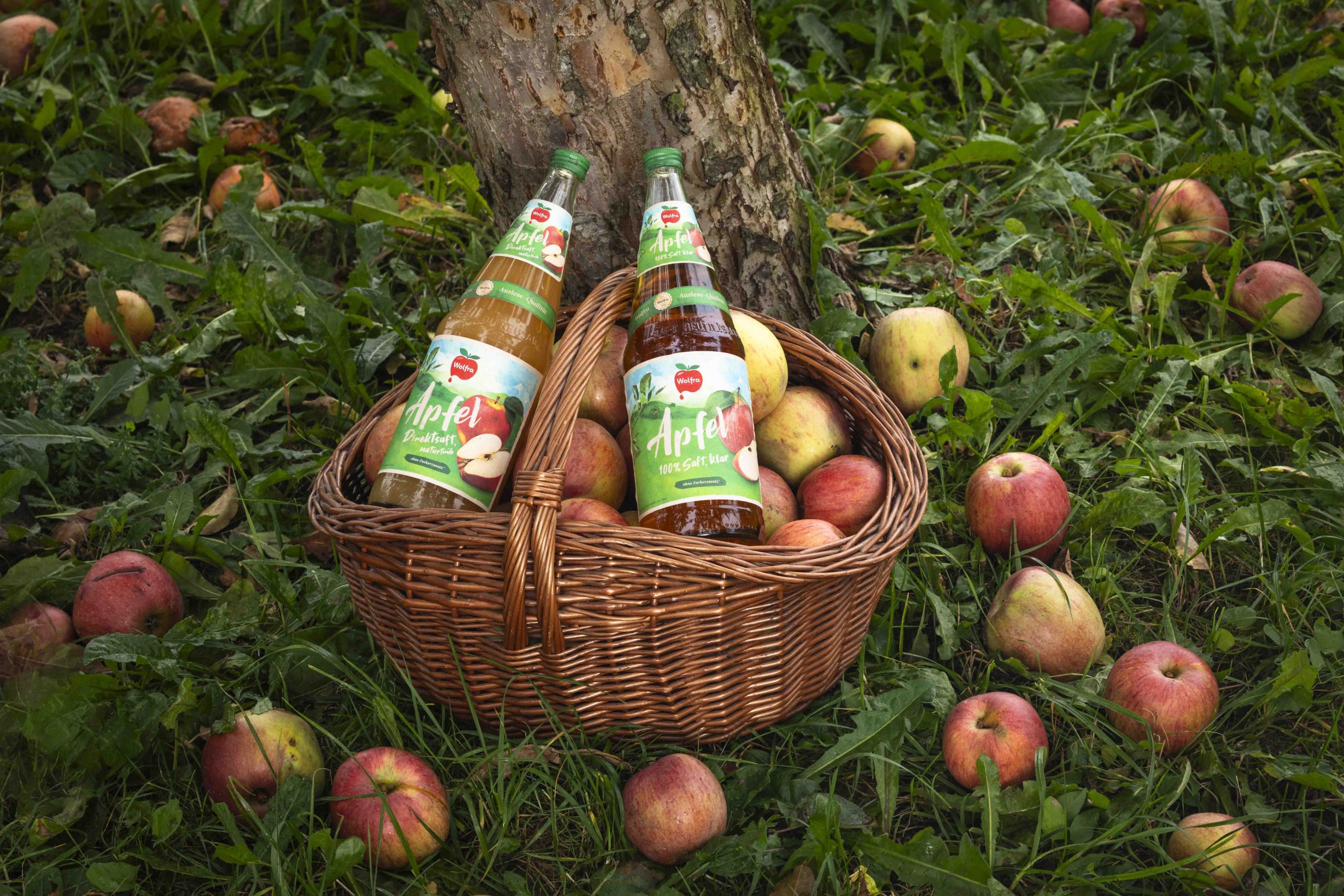 -ber-1-000-tonnen-pfel-und-eine-klare-mission-wolfra-setzt-auf-regionale-streuobstkultur