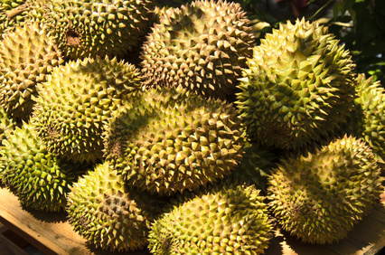 Durianfrucht, Stinkfrucht