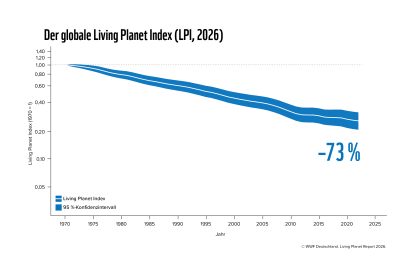 Globaler Living Planet Index: relative Entwicklung erfasster Wirbeltierpopulationen 1970–2022 mit 95-Prozent-Konfidenzintervall.