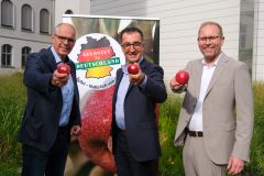 Für Obst aus heimischem Anbau: Apfel-Verteilaktion am 24. September