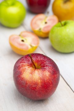 Äpfel made in Germany! Am 11. Januar 2022 feiern sie ihren Ehrentag.