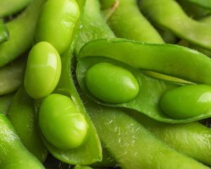 Grüne Sojabohnen in geöffneten Edamame-Schoten
