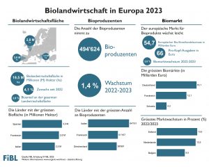 Diverse Infografiken