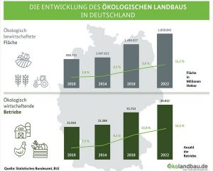 Infografik zur Entwicklung des Ökolandbaus in Deutschland. Klick führt zu Großansicht in neuem Fenster.