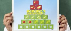Die Ernährungspyramide im Unterricht