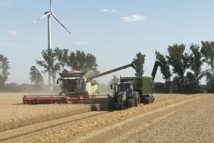 Mähdrescher bei der Getreideernte mit Traktor und Anhänger auf einem Feld