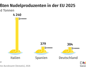 Nudelproduktion in der EU 2025: Italien 4.240, Spanien 379 und Deutschland 304 Tausend Tonnen.