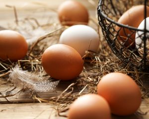 Eierautomaten von Flavura: Eierautomaten & Vending Automaten der Eierautomaten Hersteller für frische Eier aus Freiland-, Bio- oder Bodenhaltung im Eierkarton, Eierschachtel