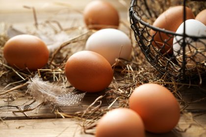 Eierautomaten von Flavura: Eierautomaten & Vending Automaten der Eierautomaten Hersteller für frische Eier aus Freiland-, Bio- oder Bodenhaltung im Eierkarton, Eierschachtel