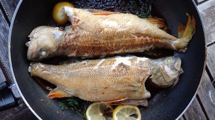 Fisch