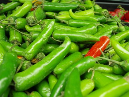 Chilis-und-Cayennepfeffer-Feurige-W-rze-aus-aller-Welt