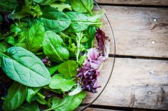 Abgepackte Salate häufig mit Krankheitskeimen belastet