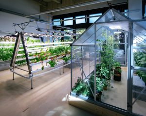 Vertical-Indoor-Farming-Anlage mit Obst- und Gemüsepflanzen im Projekt GreenFarmTEC