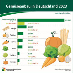 Gemüseanbau in Deutschland 2023