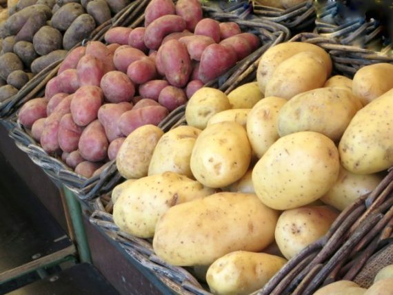 Pflanzenschutzmittelrückstände in Kartoffeln