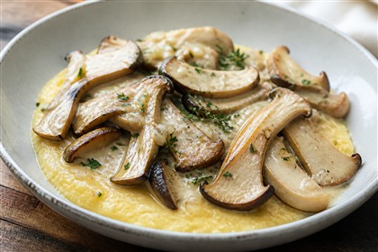 Gebratene Kräuterseitlinge in heller Sauce auf cremiger Parmesanpolenta