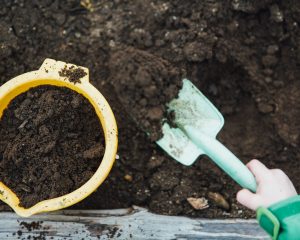 Gartenarbeit