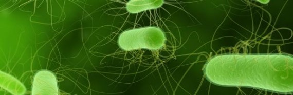 microbiological_news