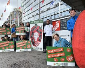 Gruppe mit Protestschildern gegen Tomatenpatente vor dem Europäischen Patentamt in Den Haag.