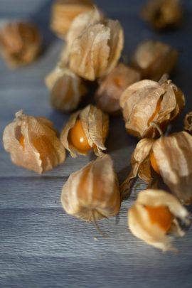 Physalis