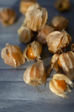 Physalis – ein exotisches Obst