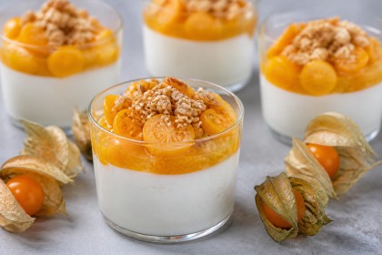 Joghurt-Panna-Cotta mit Physaliskompott und Haferstreuseln