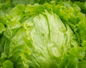 Eisbergsalat