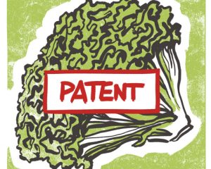 Gezeichneter Salatkopf mit rotem Schild „Patent“