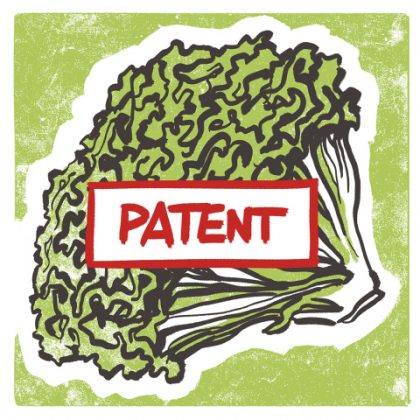 Gezeichneter Salatkopf mit rotem Schild „Patent“