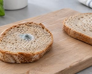 Brotscheibe mit kleiner sichtbarer Schimmelstelle neben unversehrtem Brot
