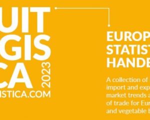 Zu sehen ist das Cover des European Statistics Handbook, das aus weißer Schrift auf orangem Hintergrund besteht.