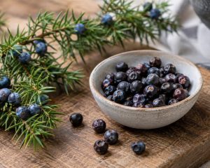 Wacholderzweige und getrocknete Wacholderbeeren in einer Gewürzschale