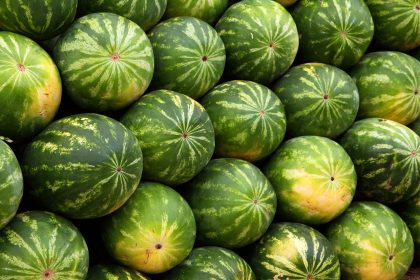 Wassermelonenkerne